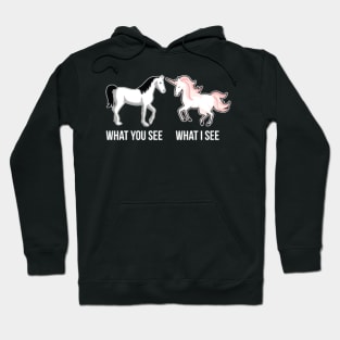 Funny Unicorn T-Shirt for Women What you see Hoodie